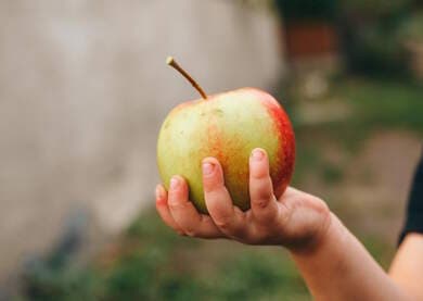 Picoti picota, lis avec moi : "Pim pam… pomme !" par les bibliothécaires