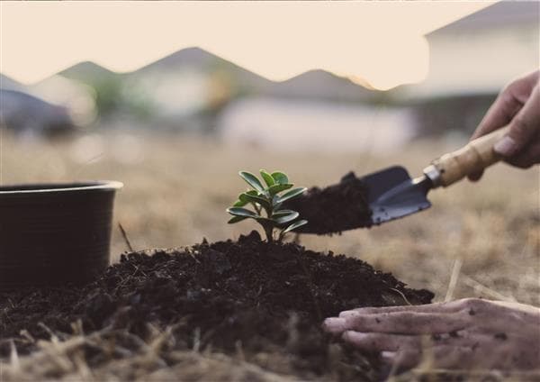 Chantier participatif : plantation des modelés dunaires du parvis de la Maison de l’Environnement