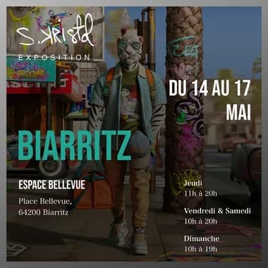 Exposition artistique de Stéphane Kristol