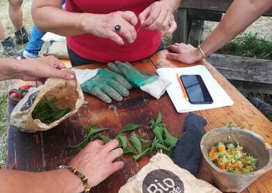 De la cuisine au compost
